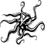 Octopus 04