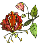 Flower 324
