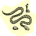 Snake 14