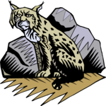 Bobcat 3