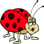 Ladybug 16