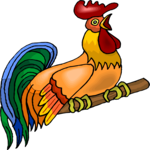Rooster Crowing 5