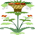 Design 15 (2)
