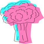 Broccoli 10
