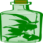 Vinegar 10