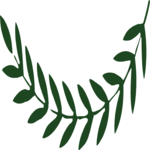 Leaves 37