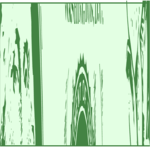 Border 559