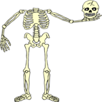 Skeleton 09