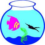 Fish in Bowl 3
