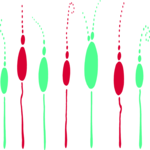 Seedsprout Race