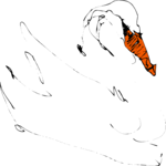 Swan Sketch 1