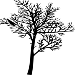 Tree 018