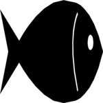 Fish 08