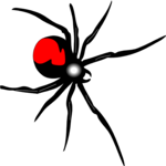 Spider - Redback