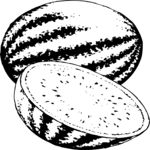 Watermelon 04