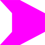 Polygon 19