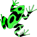 Frog 21