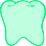 Tooth 08
