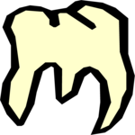 Tooth 21