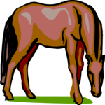 Horse 34