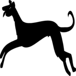 Greyhound 1