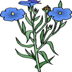 Flower 326