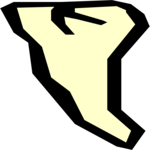 Tooth 13