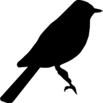 Bird 03