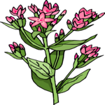 Flower 327