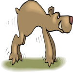 Bear Tiptoeing