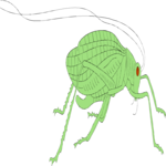 Crawling Insect 25