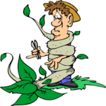 Trimming Vine