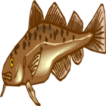 Fish 226