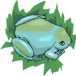 Frog 09