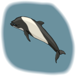 Porpoise 2
