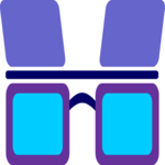 Sunglasses 41