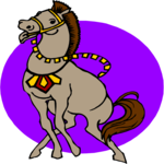 Horse 61
