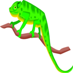 Chameleon 7