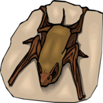 Bat 24
