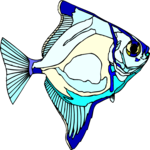 Mono Fish
