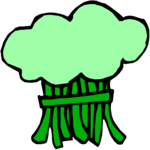 Broccoli 11