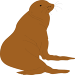 Sea Lion 1