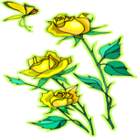Rose 76