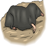 Mole 4