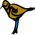 Bird 006