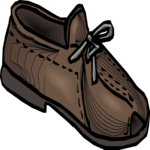 Shoe 11