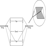 Kite Diagram