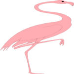 Flamingo 05