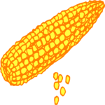Corn 34