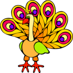 Peacock 1